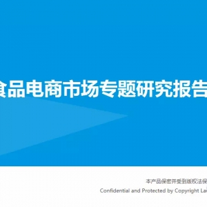 中国食品电商市场专题研究报告2015