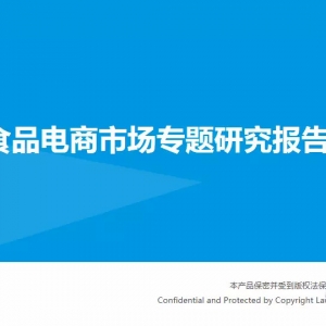 中国食品电商市场专题研究报告2015